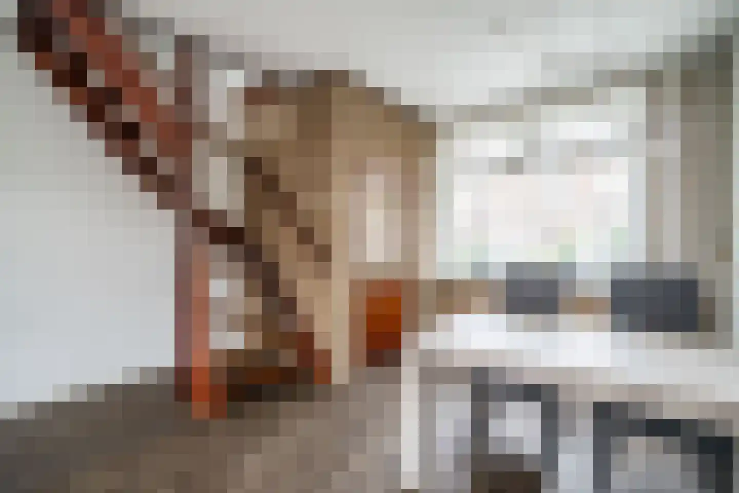 Schenkelweg 85 Zoeterwoude thumbnail 22