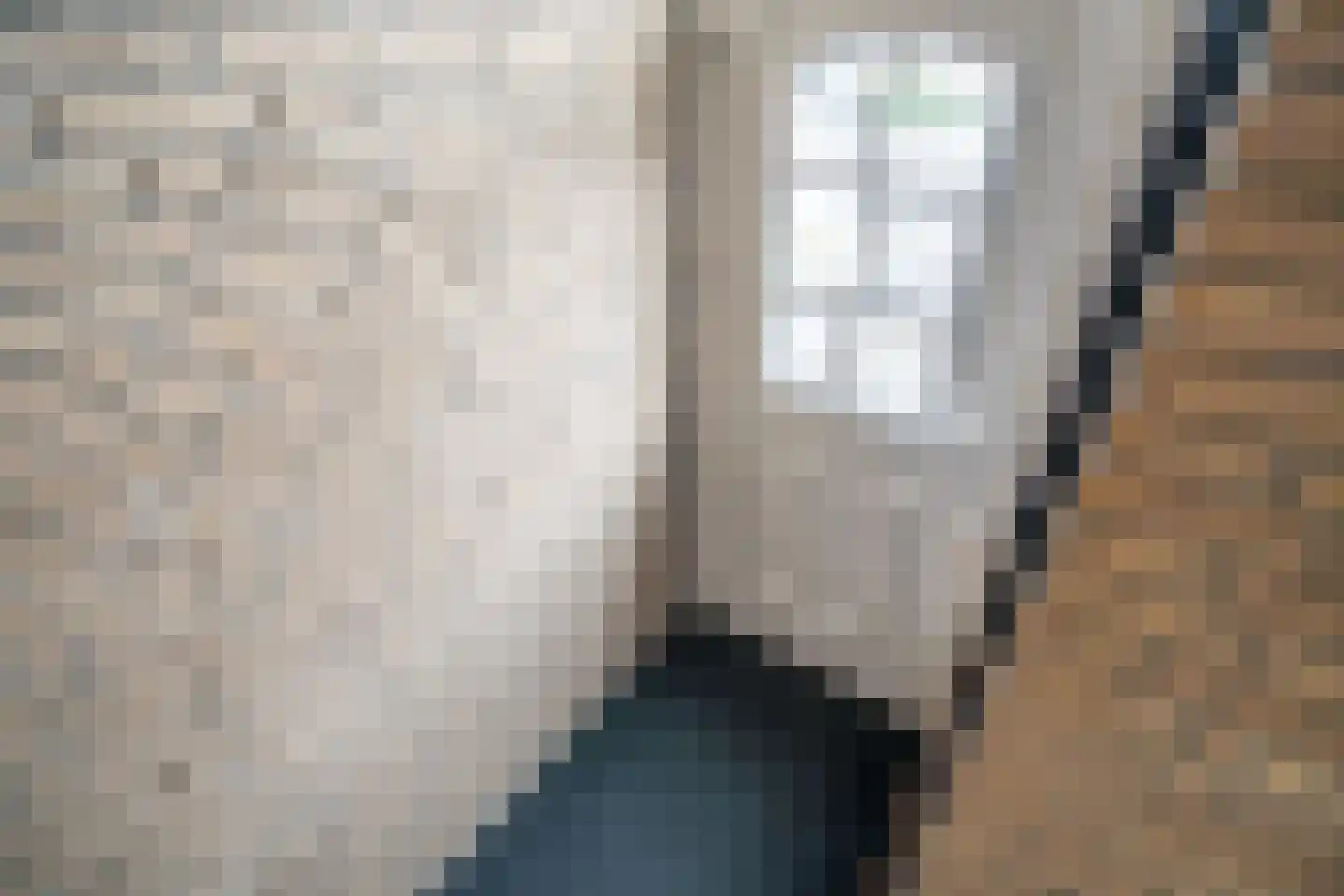 Schenkelweg 85 Zoeterwoude thumbnail 24