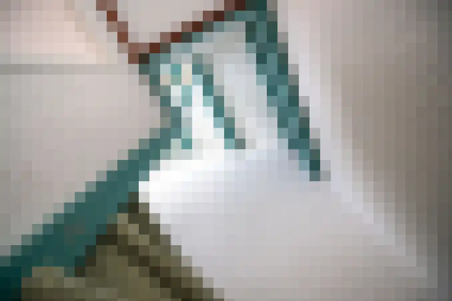 Schenkelweg 85 Zoeterwoude thumbnail 36