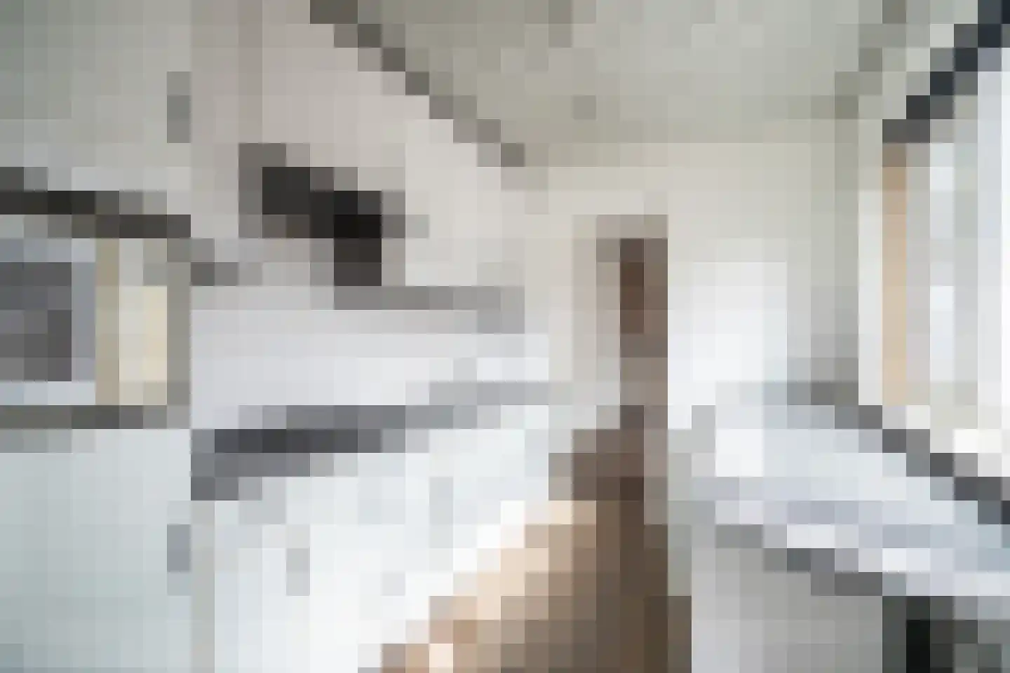 Schenkelweg 85 Zoeterwoude thumbnail 4