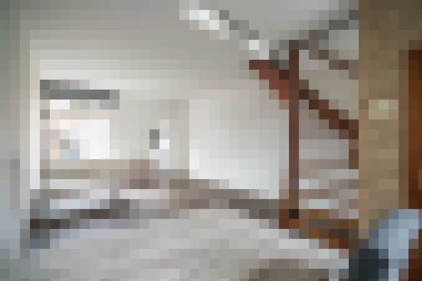 Schenkelweg 85 Zoeterwoude thumbnail 5