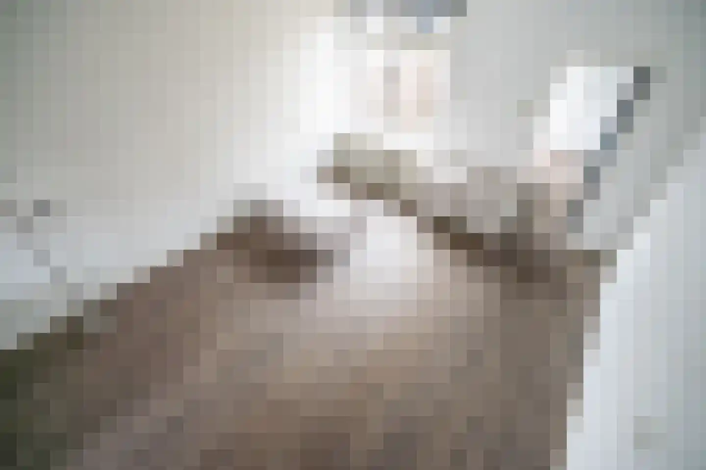 Schenkelweg 85 Zoeterwoude thumbnail 6