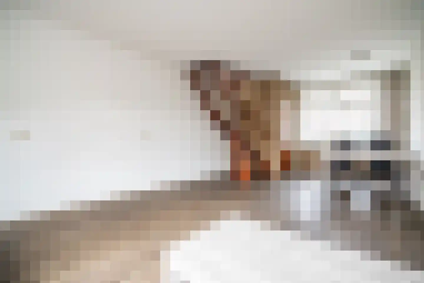 Schenkelweg 85 Zoeterwoude thumbnail 7