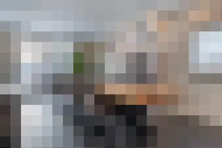 Schenkerven 21 Assendelft thumbnail 10