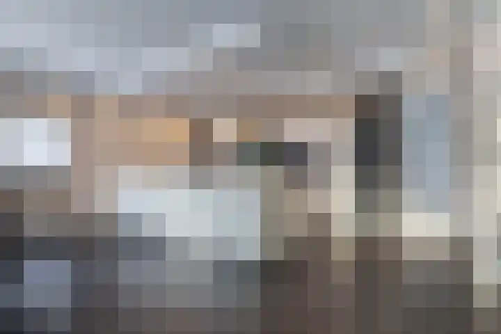 Schenkerven 21 Assendelft thumbnail 11