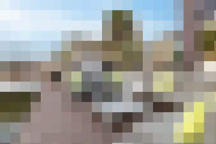 Schenkerven 21 Assendelft thumbnail 18