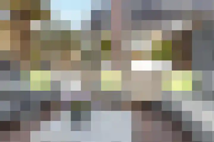 Schenkerven 21 Assendelft thumbnail 20