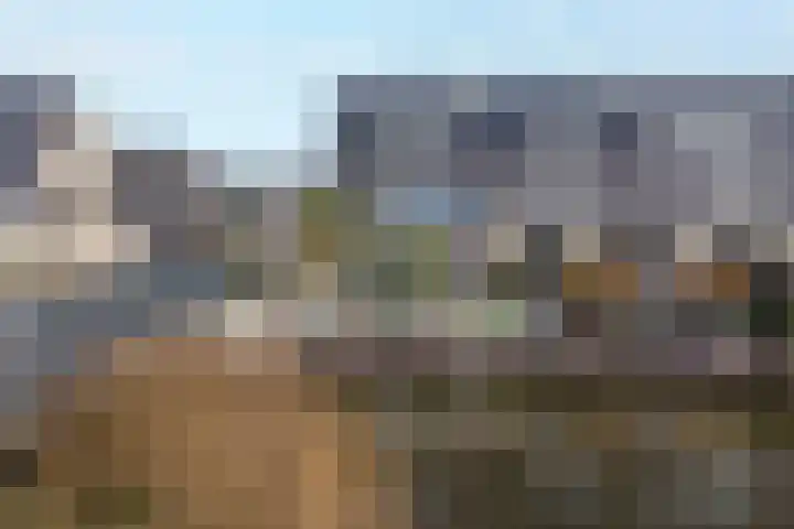 Schenkerven 21 Assendelft thumbnail 23