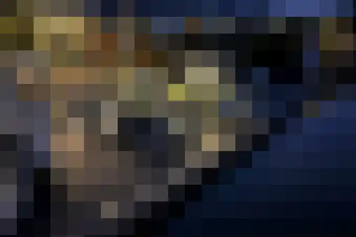 Schenkerven 21 Assendelft thumbnail 24
