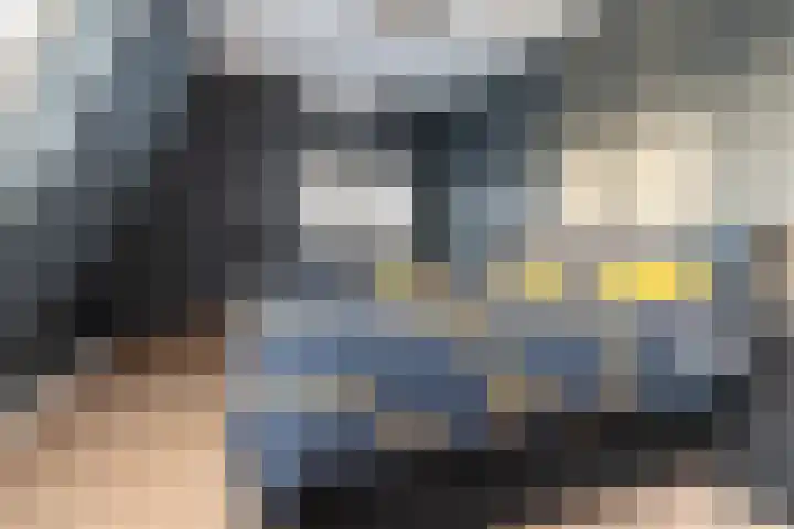 Schenkerven 21 Assendelft thumbnail 26