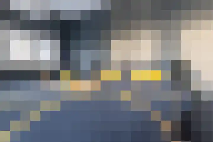 Schenkerven 21 Assendelft thumbnail 28