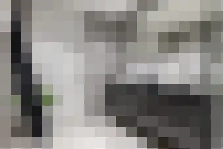 Schenkerven 21 Assendelft thumbnail 30