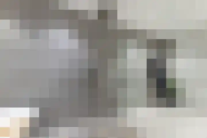 Schenkerven 21 Assendelft thumbnail 32