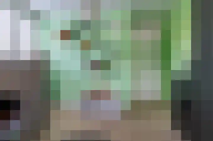 Schenkerven 21 Assendelft thumbnail 36
