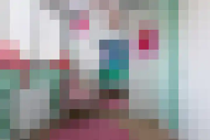 Schenkerven 21 Assendelft thumbnail 38