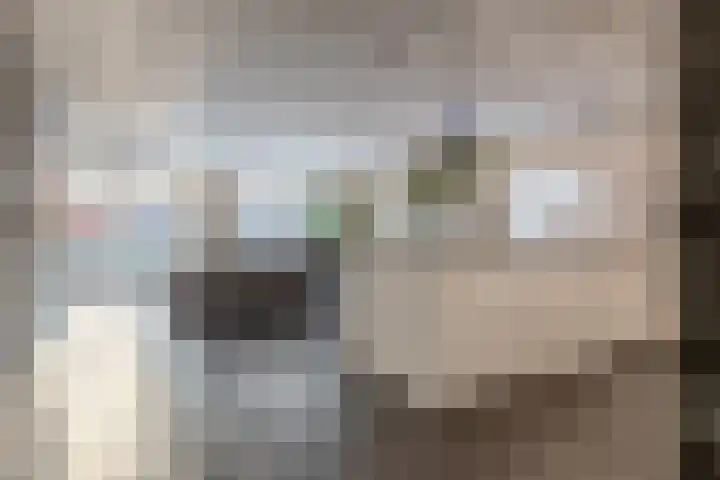Schenkerven 21 Assendelft thumbnail 4