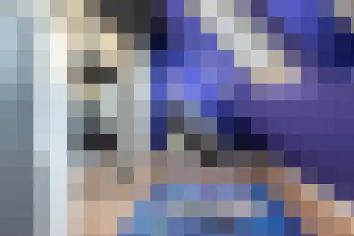 Schenkerven 21 Assendelft thumbnail 41