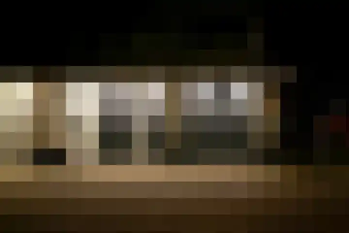 Schenkerven 21 Assendelft thumbnail 47