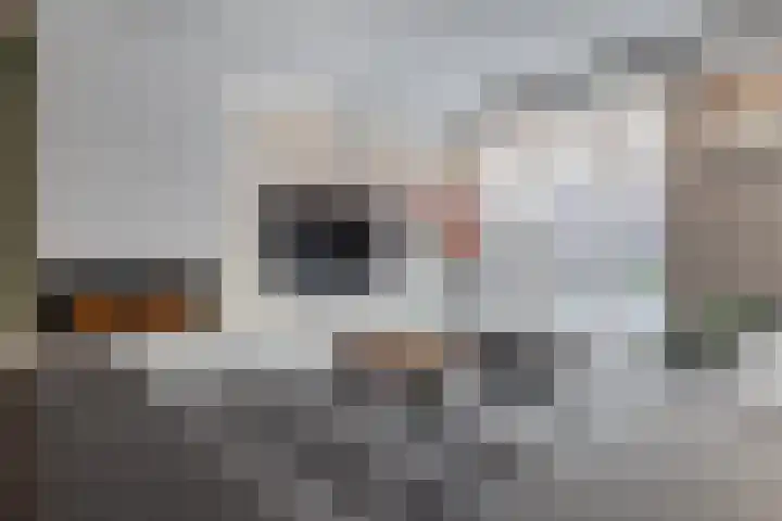 Schenkerven 21 Assendelft thumbnail 7