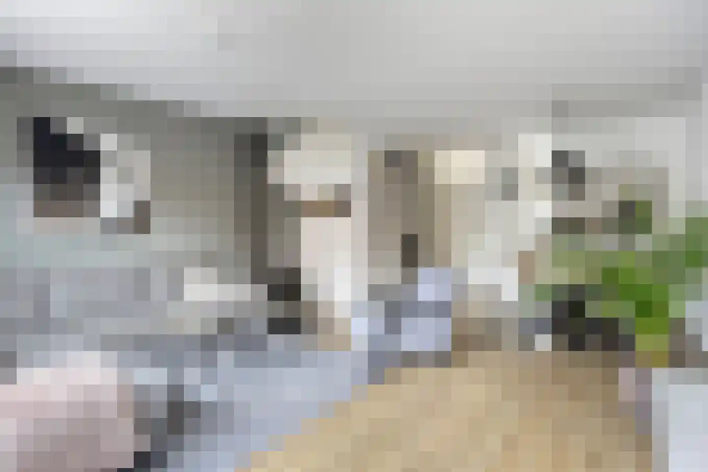 Schenkhorst 9 Veenendaal thumbnail 5