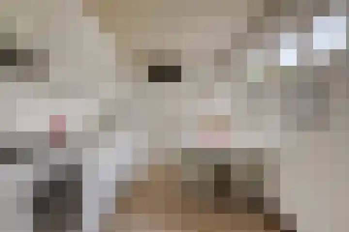 Schenkpad 1 Eindhoven thumbnail 10