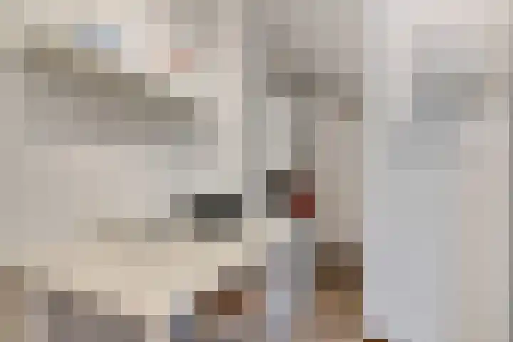 Schenkpad 1 Eindhoven thumbnail 14