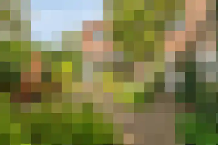 Schenkpad 1 Eindhoven thumbnail 22