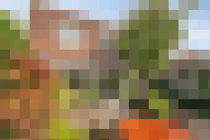 Schenkpad 1 Eindhoven thumbnail 23
