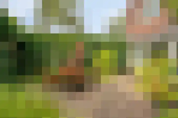 Schenkpad 1 Eindhoven thumbnail 24
