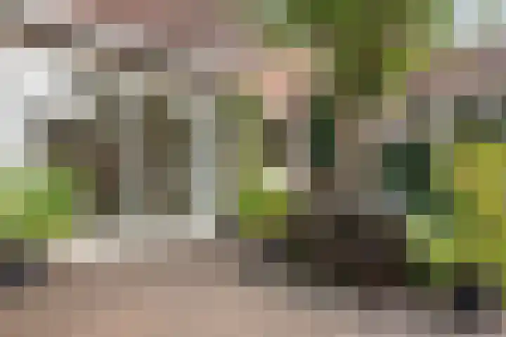 Schenkpad 1 Eindhoven thumbnail 25