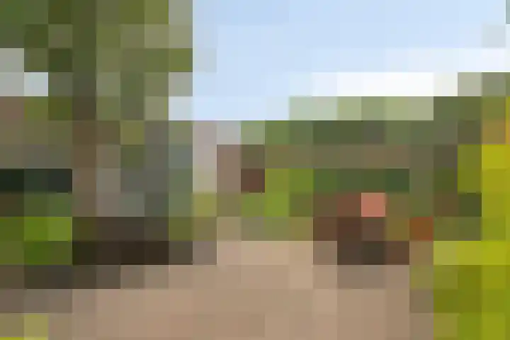 Schenkpad 1 Eindhoven thumbnail 26