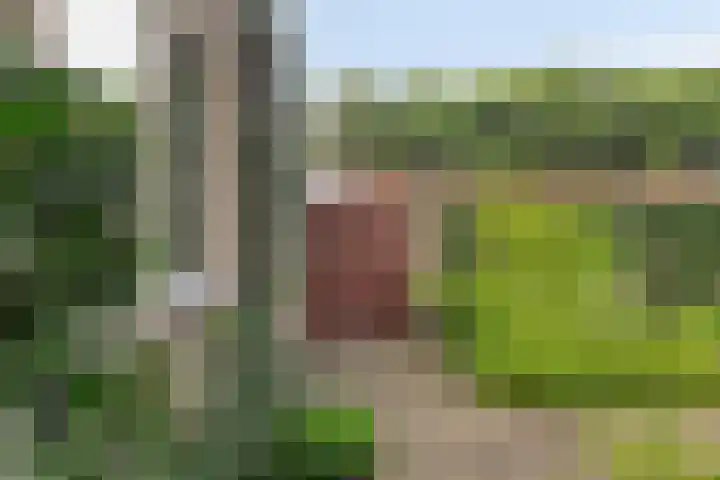 Schenkpad 1 Eindhoven thumbnail 27