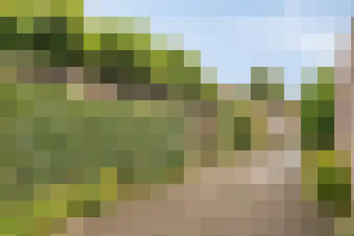 Schenkpad 1 Eindhoven thumbnail 29