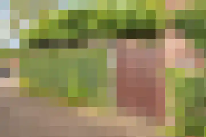 Schenkpad 1 Eindhoven thumbnail 30