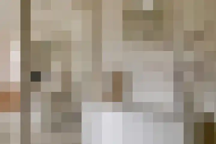 Schenkpad 1 Eindhoven thumbnail 4