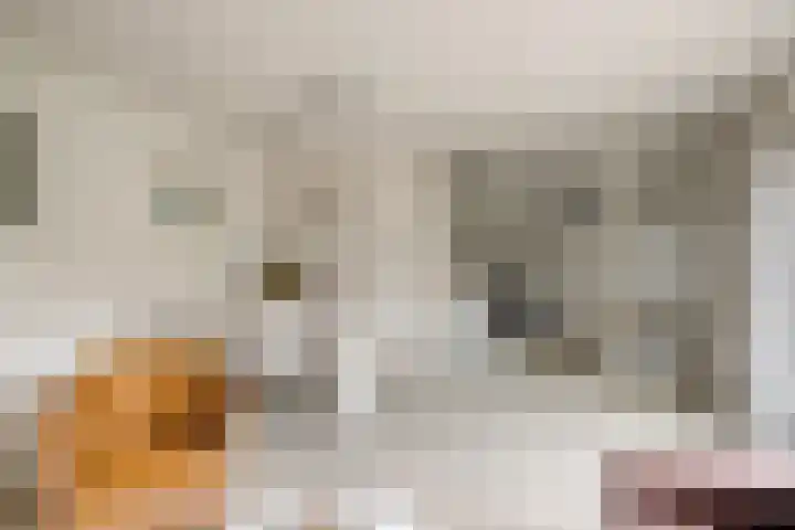 Schenkpad 1 Eindhoven thumbnail 7