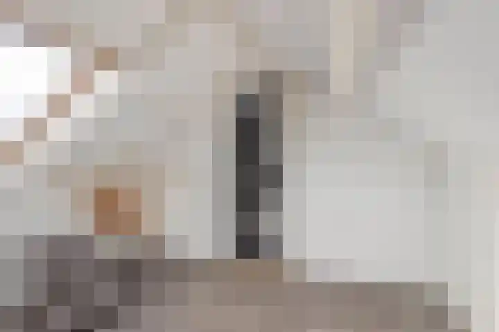 Schenskenweg 16 Koningslust thumbnail 35