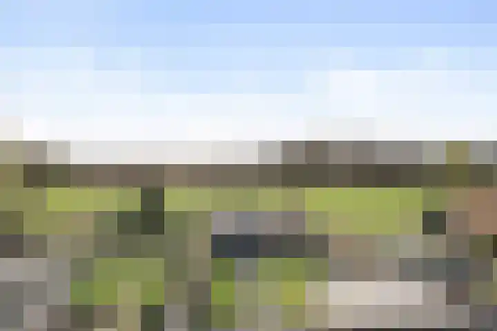 Schenskenweg 16 Koningslust thumbnail 4