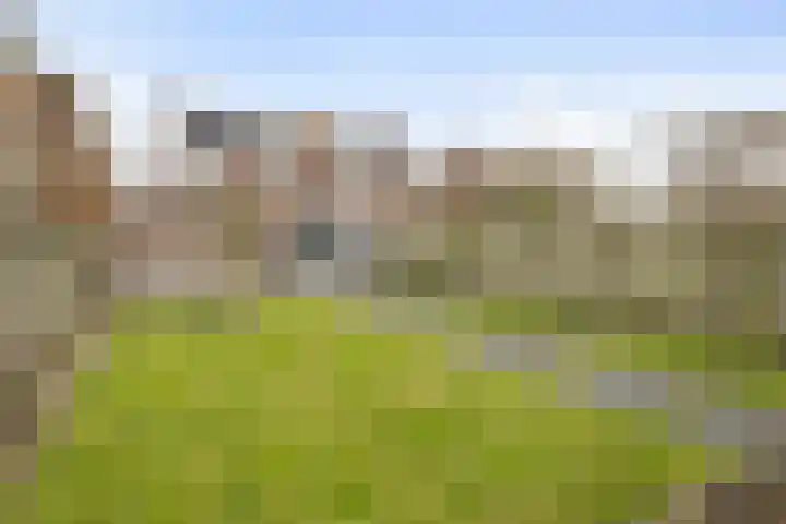 Schenskenweg 16 Koningslust thumbnail 41