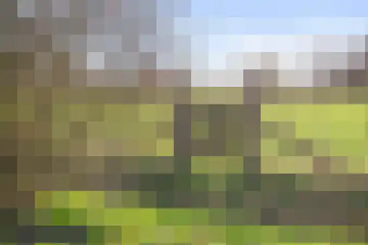 Schenskenweg 16 Koningslust thumbnail 42