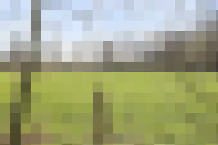 Schenskenweg 16 Koningslust thumbnail 43