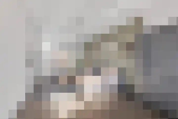 Schenskenweg 16 Koningslust thumbnail 6