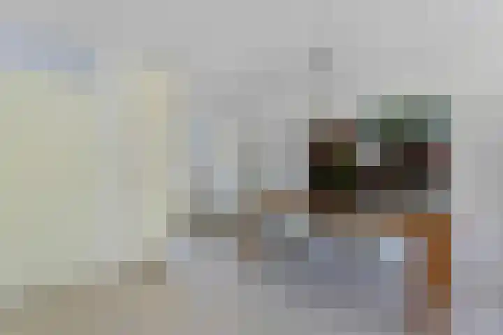 Schepel 11 Soest thumbnail 12