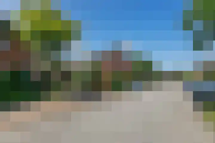 Schepel 11 Soest foto 2