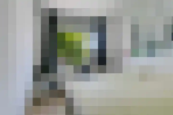 Schepel 11 Soest thumbnail 23