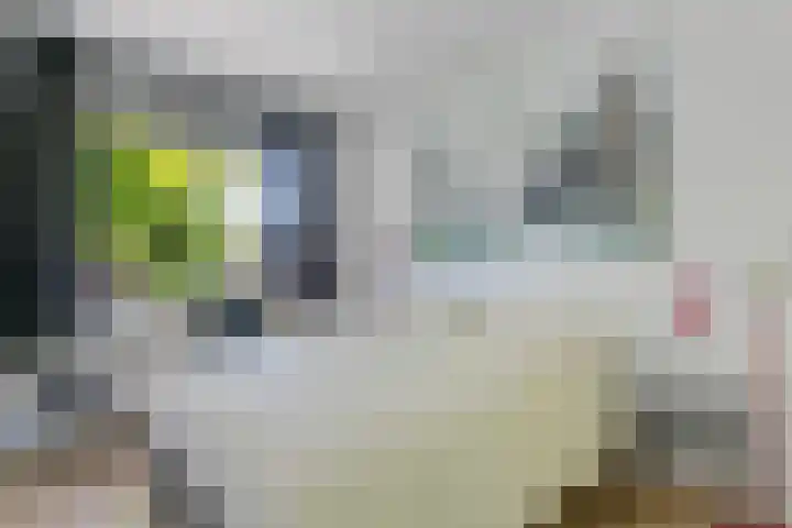 Schepel 11 Soest thumbnail 24