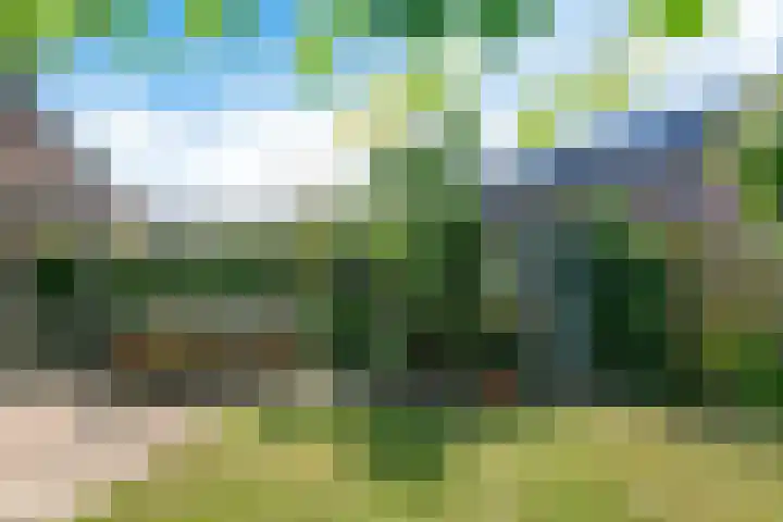 Schepel 11 Soest thumbnail 39