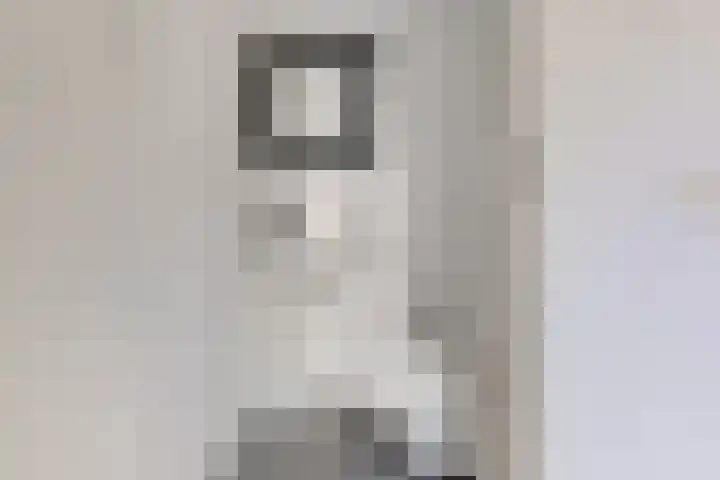 Schepel 11 Soest thumbnail 6