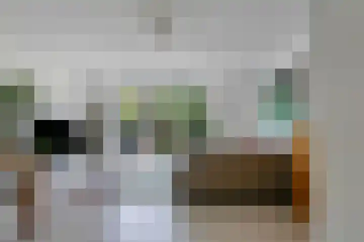 Schepel 11 Soest thumbnail 7