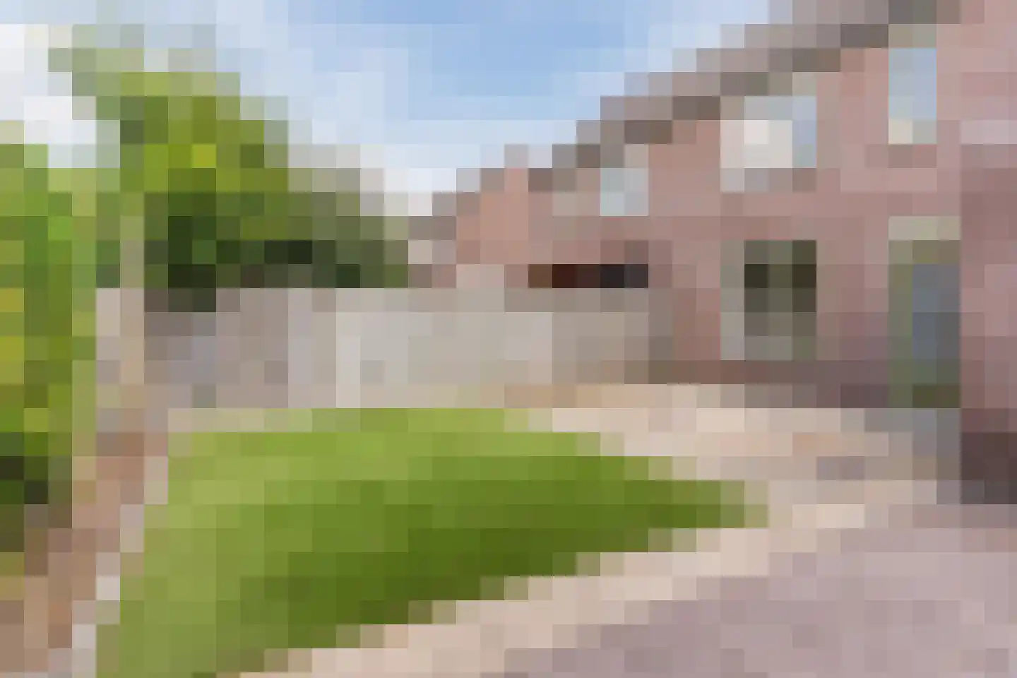 Schepelhei 16 Veldhoven thumbnail 45